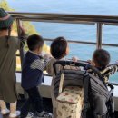 김소아과의원 이미지