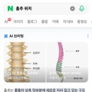 흉추위치 교육(회원용) 이미지