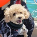 전곡항고기나라