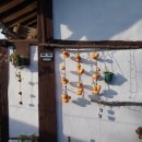 꽃피는 무릉도원 이미지