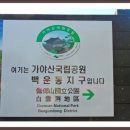 한국 100대명산이요...수려한 경관과 기암괴석,오색단풍이 조화를 이뤄 환상의 작품이된 가야산국립공원과 합천해인사 답사기 이미지