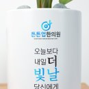 튼튼업한의원 이미지