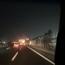 꼬리치랑개 | 도쿄&amp;나고야 여행 일기 - Day 1 ; 다치카와