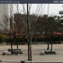 동구청 광장 Daum카페