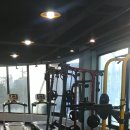 Y멀티짐 이미지