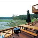 소나무집펜션민박 이미지