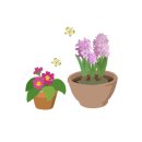 베트남골목식당까페홍 남원점 이미지