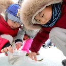 인제빙어축제 이미지