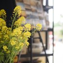 뱅디가름게스트하우스 이미지