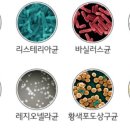 뉴홈클린 이미지