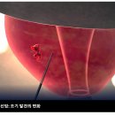 독일 연구 결과에 따르면 젊은 세대가 암에 더 취약한 이유가 밝혀졌습니다. 이미지