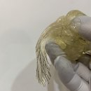 뽀블슈가링왁싱
