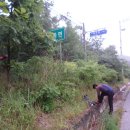 사월큰길(임동면) 이미지