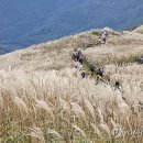 민둥산운동장 2 이미지