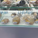 카페로투스 - 영양군 삼지길 55 | 카페로투스
