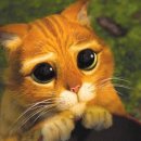 바디앤짐 신월점 이미지