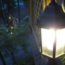 소나무이야기 펜션 이미지