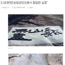 진성 환경 티스토리