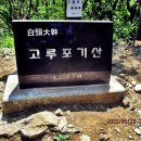 왕산골 사슴농장 이미지