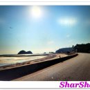 파라다이스펜션 이미지