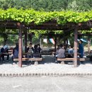 보은정보고등학교 이미지