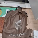 제주 골든햄스터 분양 볼주머니 | 골든햄스터 키우기 1탄 가출소동(plus.봄동먹방까지)