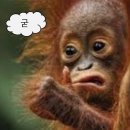 지에스(GS)25 별내로뎀점 | [노원/공릉] 묘한 촌스러움(positive)이 매력인 이정림 수제햄 부대찌개