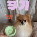 댕스피크닉 이미지