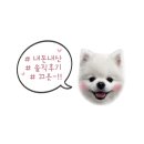 해피치즈스마일갈리단길점