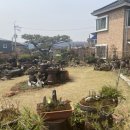 다래 전통찻집 이미지