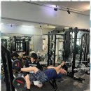 더 디짐 이미지