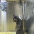 한샘동물병원 이미지