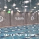에스앤제이 프리미엄 수영장 네이버블로그