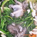 순배농장 | 서천 주꾸미축제, 마량리 동백나무 숲 방문후기