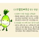 청정절임 Daum카페