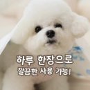 뽀송