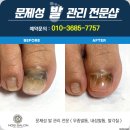 네일노브 | 범계역 네일아트 맛집! 후회없는 선택, 노브살롱 후기