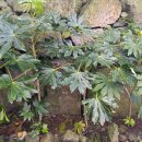 귤빛캠핑장 이미지