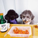 피자세상 여성동아