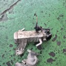 경성스포츠 이미지