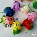 중기골목포토카페