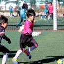 나래스포츠 이미지