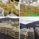 벽진농업협동조합공동퇴비제조공장 | 인니 대통령 요리사도 극찬한 &#39;국산콩 템페&#39; 만드는 남자