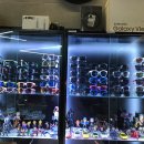 가양안경-와우렌즈 이미지