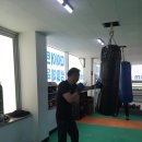포항프라임복싱클럽 이미지