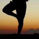 바른 자세 요가 이미지