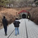 고모산성(오미자 테마터널) 이미지