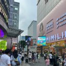 명동휴식 | 모발 클리닉 이철헤어커커 명동 1호점 후기 (´∀｀*)