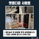 이지피티 이미지