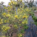 남송농장 이미지